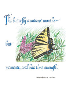 The Butterfly Counts