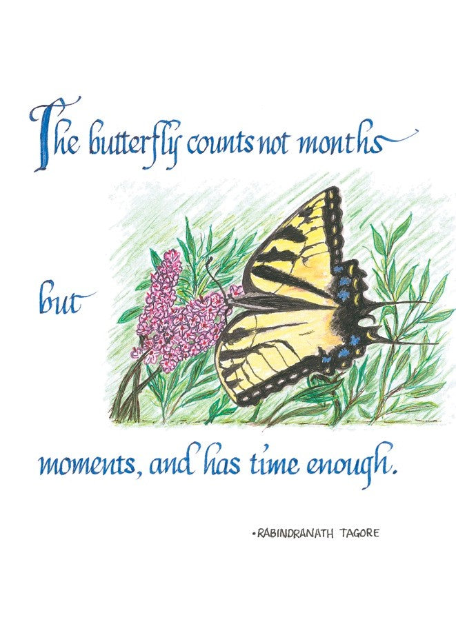 The Butterfly Counts